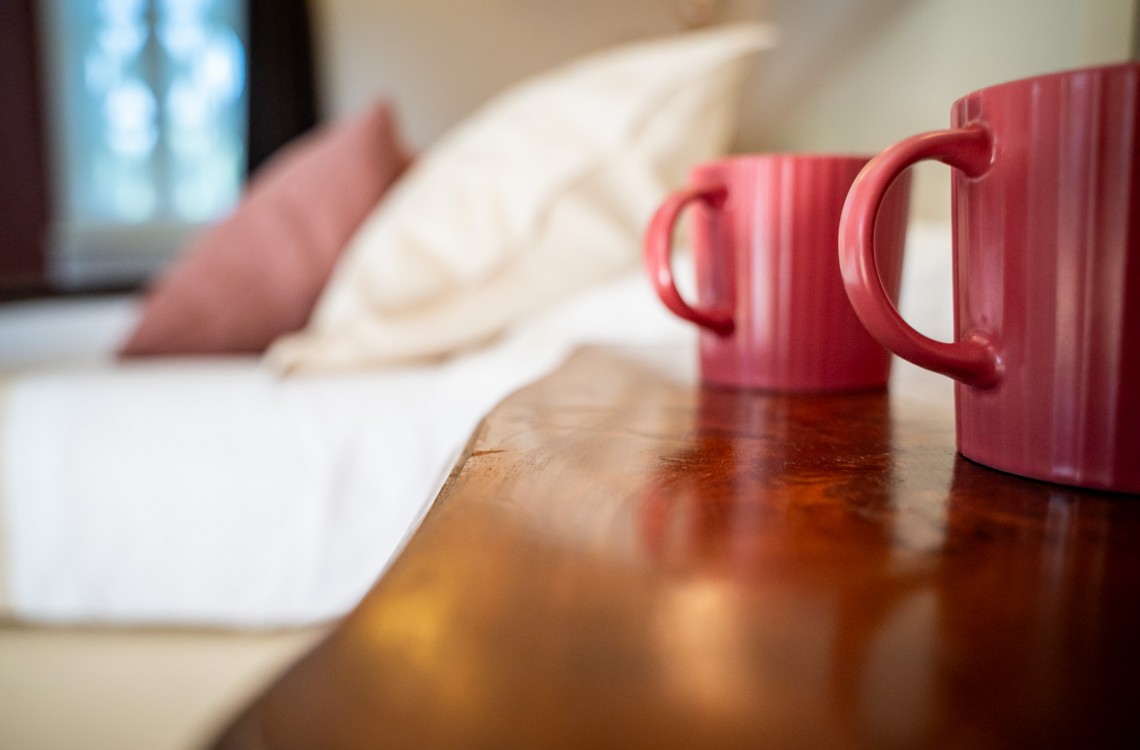Disposta al piano primo dell'edificio lungo la balconata aperta verso la corte interna, camera doppia, anche ad uso singolo, ampia e luminosa è stata pensata per essere il luogo ideale dove trascorrere il vostro soggiorno di vacanza o di lavoro.  Di complessivi 30mq circa, è arredata con stile contemporaneo, caldo ed elegante, dispone di scrivania e confort di ultima generazione. Gode ​​di una bellissima vista sugli edifici circostanti e sulla campagna. <br>Con letto matrimoniale o due letti singoli, disponibile uso SINGOLA e uso DOPPIA<br>